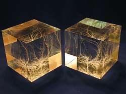 3-Inch Cubes