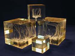 2-Inch Cubes