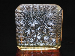 Lich Jewel, White LED's2