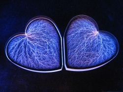 Captured Lightning Hearts