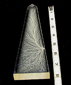 Obelisk