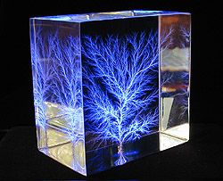 Blue Prism