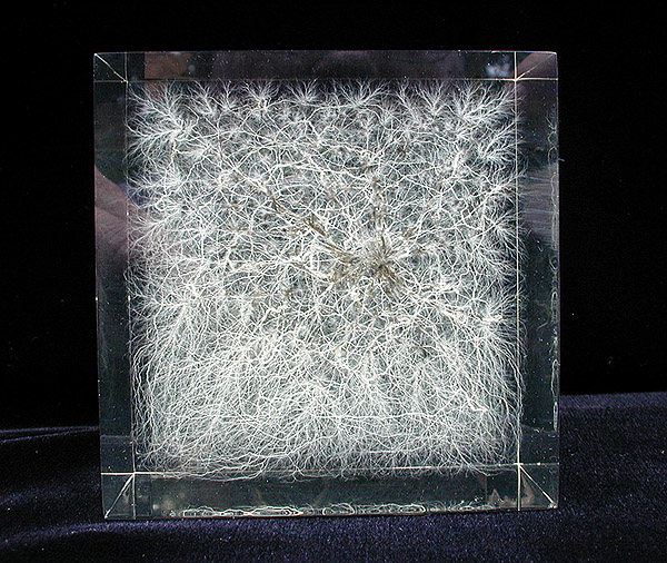 Link to Experimental Sculptures Page...