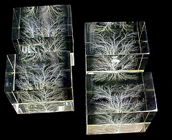 Group of Windblown Lightning Prisms