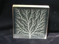 Edge Dendritic Discharge