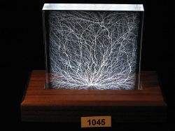 Style 32, 4 x 4 x 1 Inch Mixed Dendritic and Chaotic