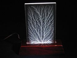6 Inch Vertical Tree in LM2750