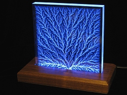 Style 7 in DK60x75B Walnut Light Base