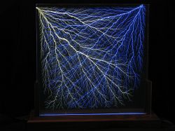 Dual 18-Inch Custom figures