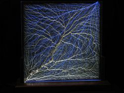 Dual 18-Inch Sculpture